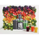 Breville Juice Fountain Cold Centrifugal Juicer, Silver